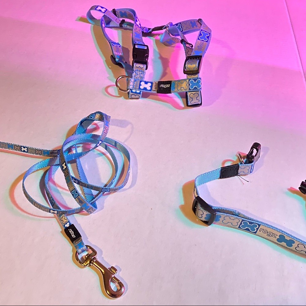 Rogz Doggy Leash Set